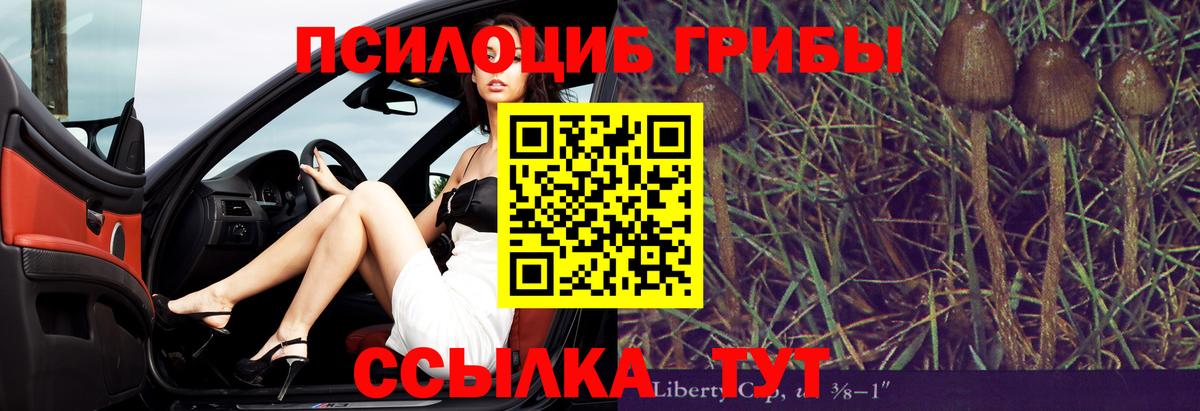 Галлюциногенные грибы мицелий Оренбург
